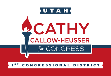 Cathy Callow-Heusser for Congress